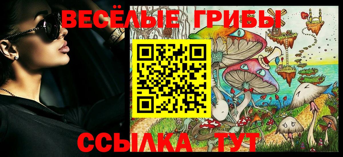 Рубцовск  Галлюциногенные грибы GOLDEN TEACHER  купить закладку  Вход с VPN 